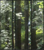 Sample image from gallery